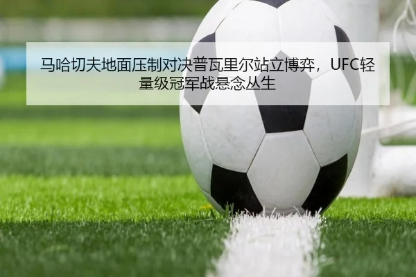 马哈切夫地面压制对决普瓦里尔站立博弈，UFC轻量级冠军战悬念丛生